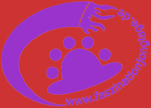 logo-faszinationjonglage